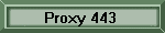 TN3270 Mod2 = 24 Rows X 80 Columns; SSL Proxy aware using port 443.